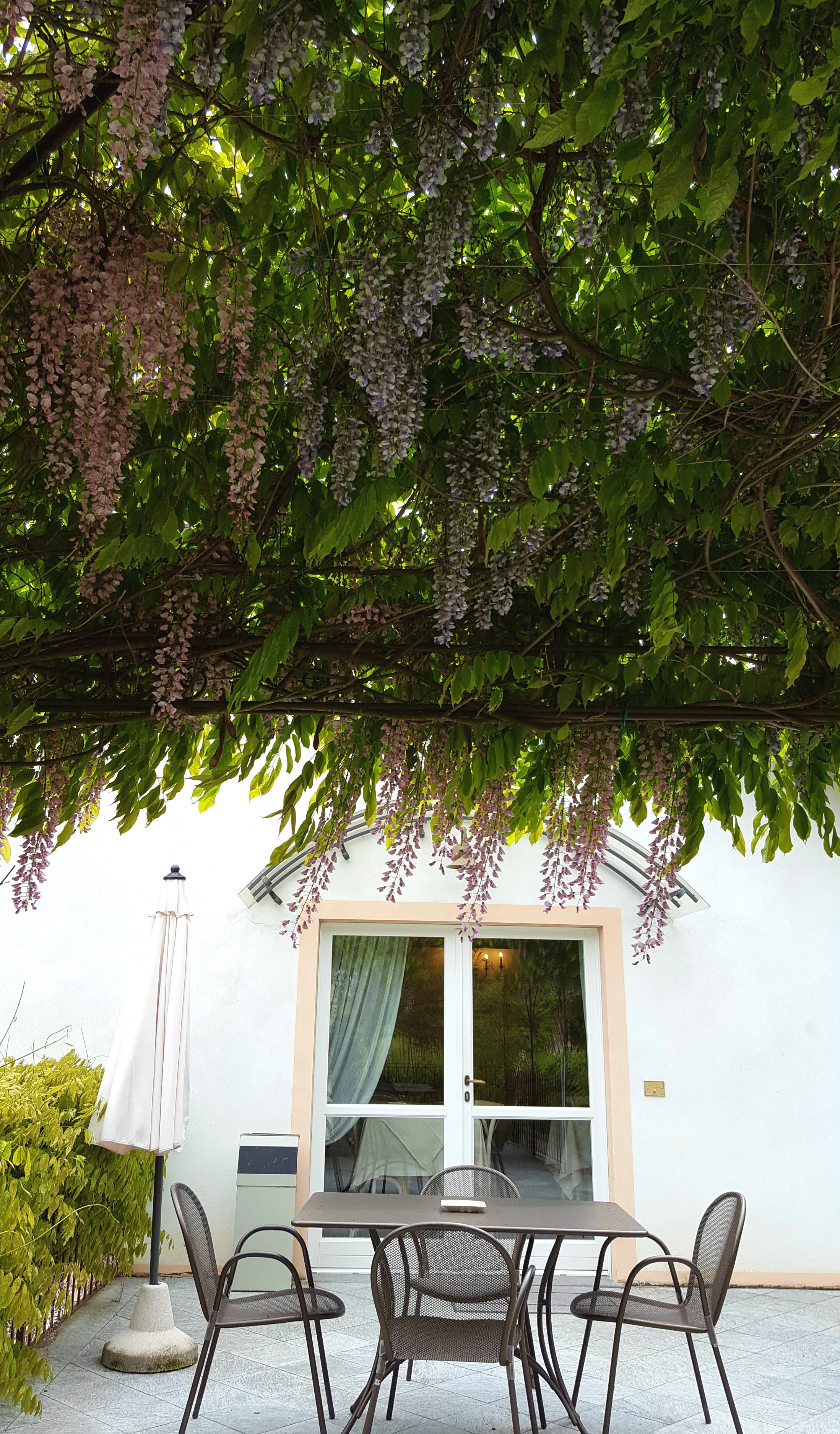 Marcarini Agriturismo Neviglie エクステリア 写真